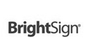 brightsin